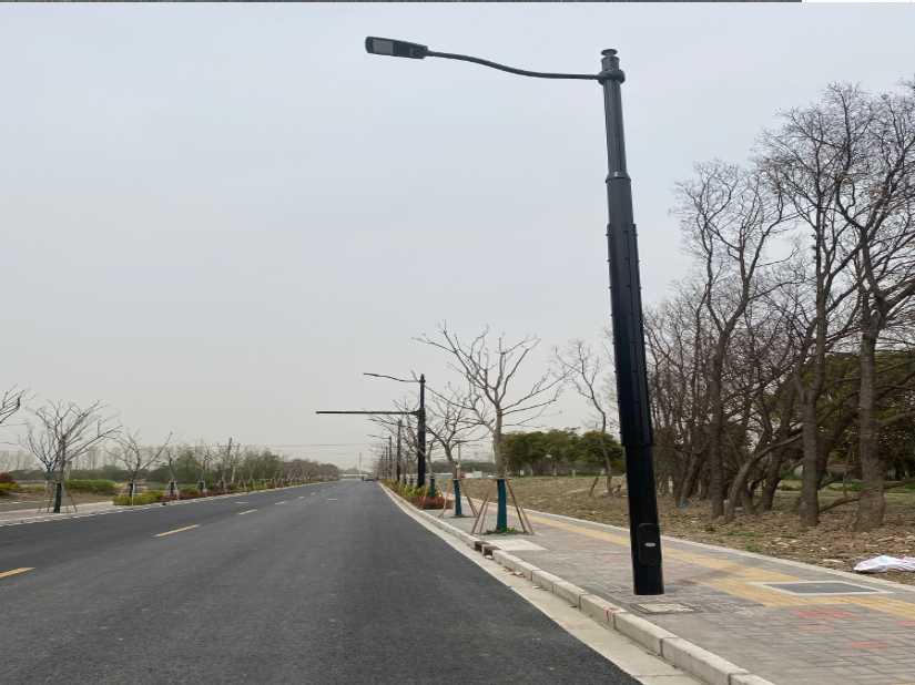 友谊县上海综合杆 太阳能路灯工程